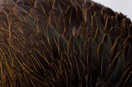 Nice and even Nice and even