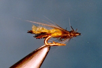 Hans Weilenmann Hans Weilenmann