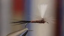 Video thumb for Isonychia Parachute