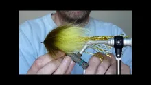 Video thumb for Olive & Yellow Glitterbug 