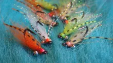 Video thumb for Simple Triggerfish Fly