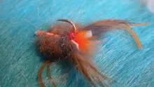 Video thumb for Ugly Crab