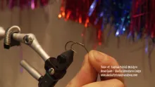 Video thumb for Patrick's Green Head Beetle