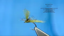 Video thumb for Olive Dynamite Harry