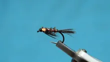 Video thumb for Traffic Light Diawl Bach