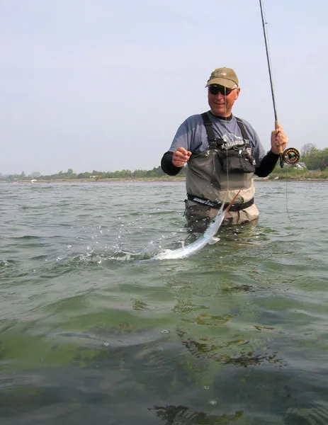 Good weather, great fun - Garfish are most active when the sun is shining and there's a decent wind blowing. That makes for some really convenient days on the water.